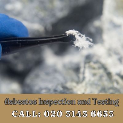 Comprehensive Asbestos Inspection and Testing Services in Woodham